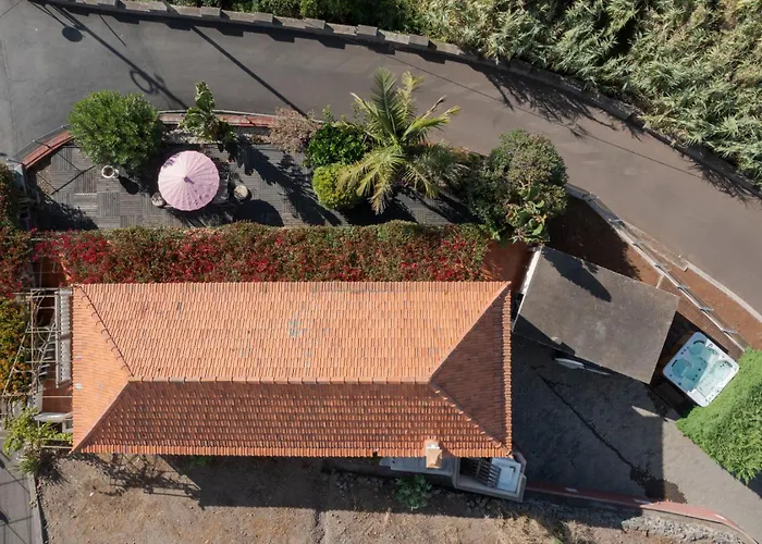 Flora By Madeira Estreito Da Calheta