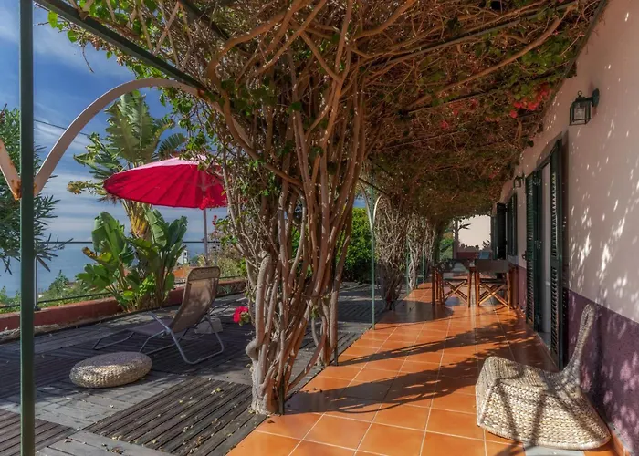 Flora By Madeira Holiday home Estreito Da Calheta