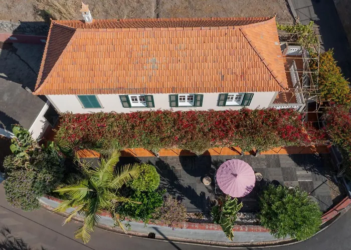 Flora By Madeira * Estreito Da Calheta